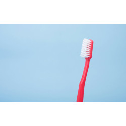 Detartraj și periaj profesional